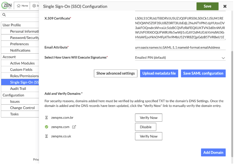 verify_domain_2.png